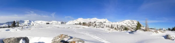 Pittoresca Vista Sul Paesaggio Invernale Innevato — Foto Stock