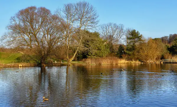 Prachtig Uitzicht Natuur Scene — Stockfoto