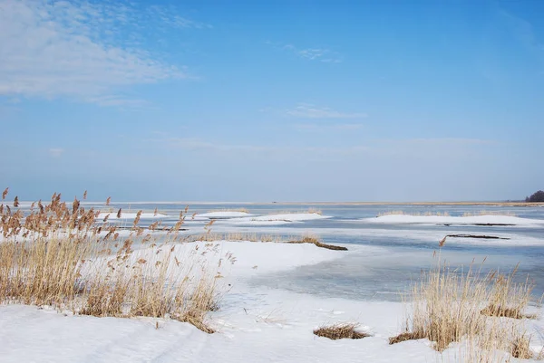 Blick Über Ein Helles Feuchtgebiet Winter Der Ostseeküste Schwedens — Stockfoto