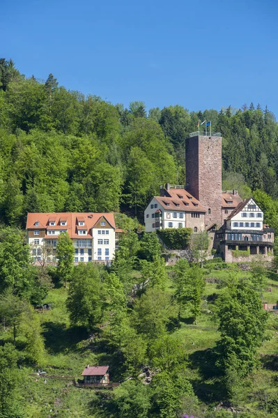 Burg Liebenzell Κακό Liebenzell Μαύρο Δάσος Baden Wuertemberg Γερμανία Ευρώπη — Φωτογραφία Αρχείου