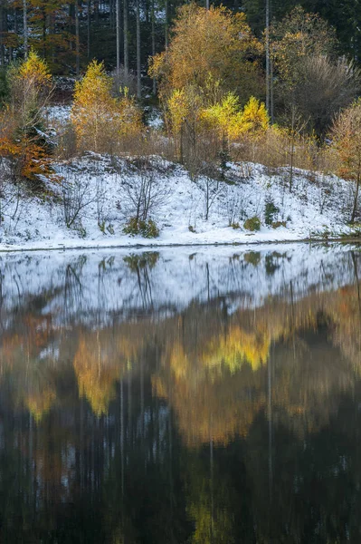 Sankenbachsee Στα Τέλη Του Φθινοπώρου Baiersbronn Black Forest Baden Wuertemberg — Φωτογραφία Αρχείου