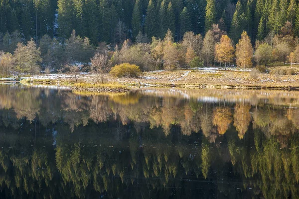 Sankenbachsee Późną Jesienią Baiersbronn Czarny Las Baden Wuerttemberg Germany Europa — Zdjęcie stockowe