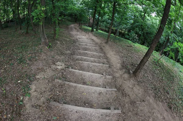 Treppe Waldweg — Stockfoto