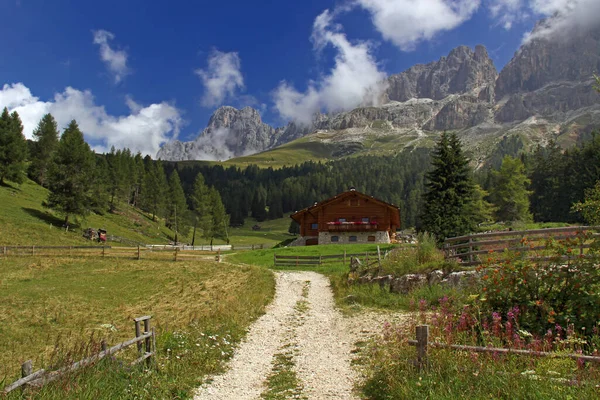 Gül Bahçesinde — Stok fotoğraf