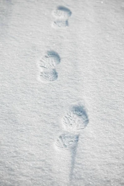 Footprints Fresh Snow — Stock Photo, Image