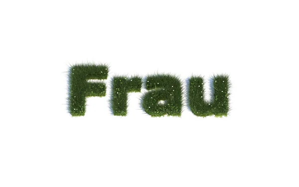Lettertypen Uit Realistisch Gras — Stockfoto