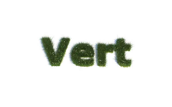 Fonts Out Realistic Grass — Stock Photo, Image