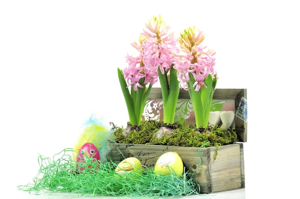 Holiday Colorful Concept Happy Easter Decorations — Stock Photo, Image