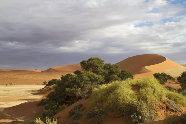 Sossusvlei Znajduje Się Południowej Części Pustyni Namib — Zdjęcie stockowe