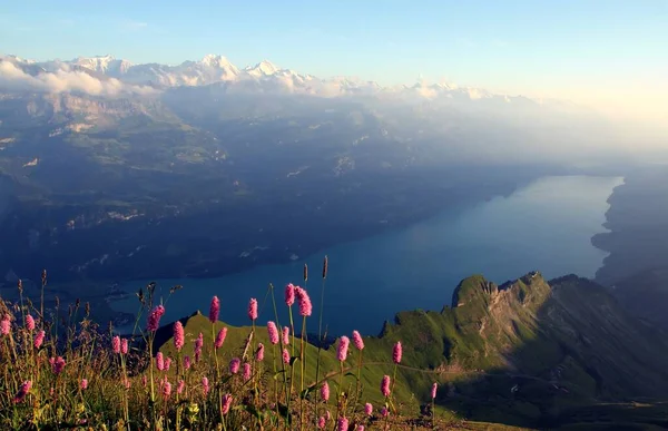 View Brienzer Rothorn — Stock Photo, Image