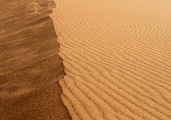 Scenic View Dunes Selective Focus — Stock Photo, Image