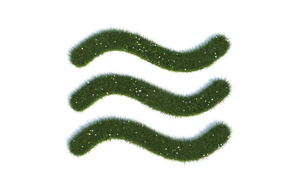 Зеленая Трава Цветком Белом Фоне — стоковое фото