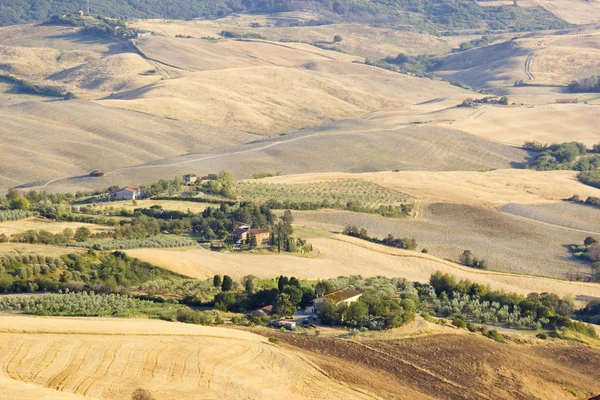 Vista Del Paisaje Típico Toscana Verano Italia — Foto de Stock