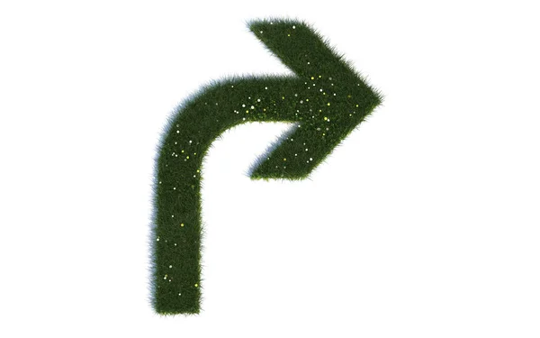 Riktning Pil Höger2 Serie Symboler Realistiskt Gräs — Stockfoto