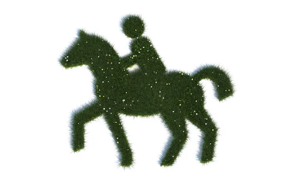Rider Series Symbolen Uit Realistisch Gras — Stockfoto