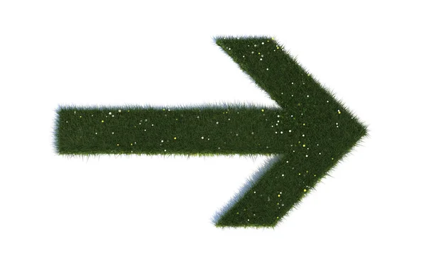 Direction Arrow Right Series Symbols Out Realistic Grass — Stock Photo, Image