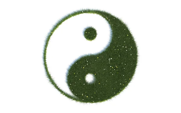 Yin Yang Series Symbols Out Real Grass — 스톡 사진
