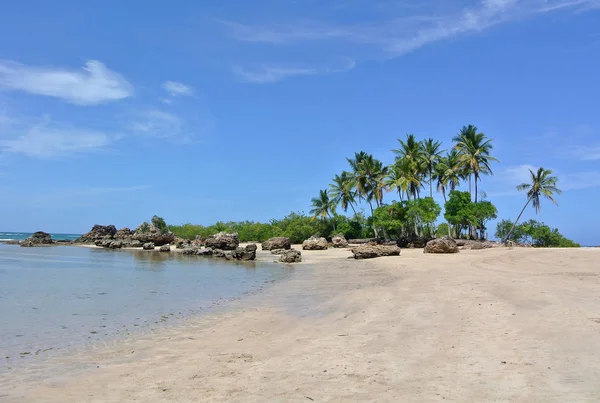 Пляж Пальмы Tinhare — стоковое фото