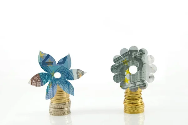Dvě Květiny Peněz Symbolizující Růst Rozkvět — Stock fotografie