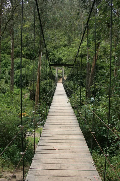 Jalan Atas Jembatan Gantung Kayu Dan Kabel Atas Hutan Pohon — Stok Foto