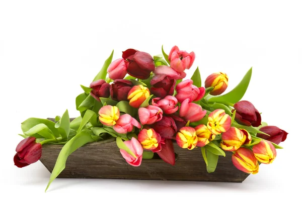 Bunte Tulpen Auf Einem Holztablett — Stockfoto