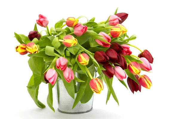 Bunte Tulpen Eimer — Stockfoto