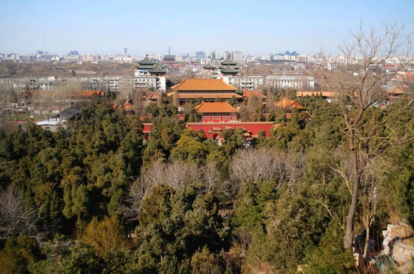 Vue Panoramique Sur Majestueuse Ville Urbaine — Photo