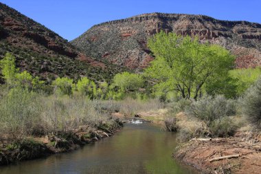 View along the Jemez River in New Mexico with cottonwood trees clipart