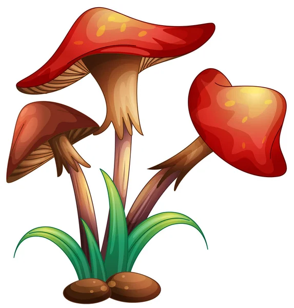 白色背景上的红色蘑菇的图解 — 图库照片