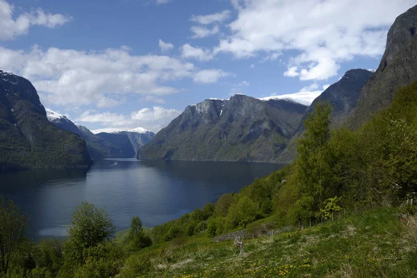 Noruega Sobre Paisagem Natural Fundo — Fotografia de Stock