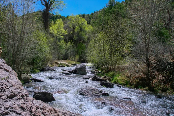 Rio Corre Através Uma Floresta Primavera — Fotografia de Stock