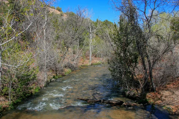 Río Fluye Por Bosque Primavera — Foto de Stock