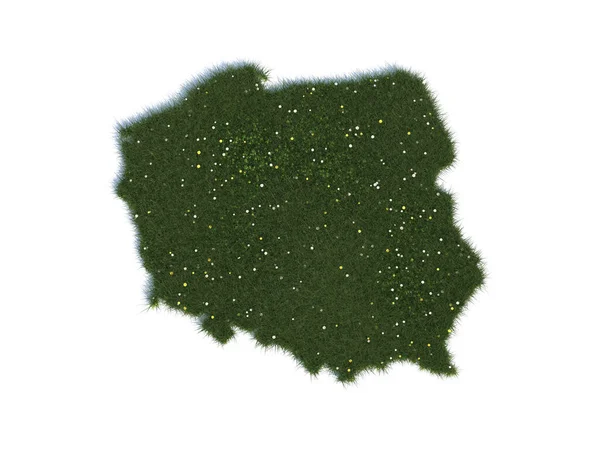 Landkarte Der Polen Serie Länder Aus Realistischem Gras — Stockfoto