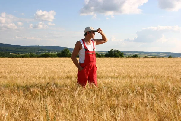 Bio Farmář Poli — Stock fotografie