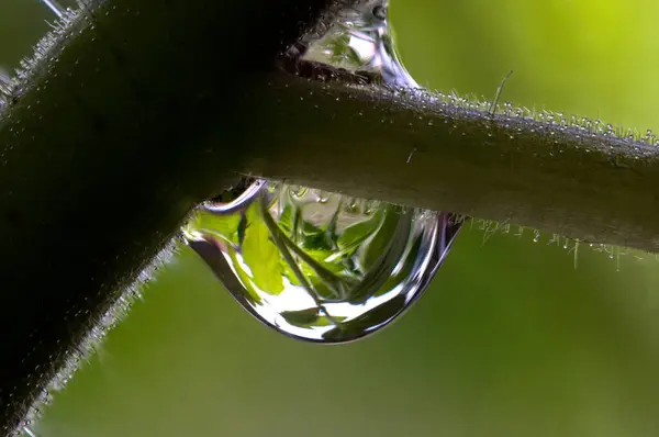 Líquido Gotas Água Gotas Chuva — Fotografia de Stock