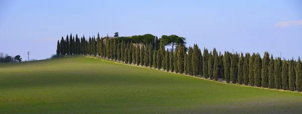 Ein Klassischer Blick Auf Ein Podere Der Toskana — Stockfoto