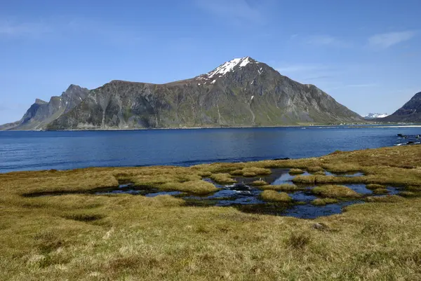 关于自然景观背景的Lofoten — 图库照片