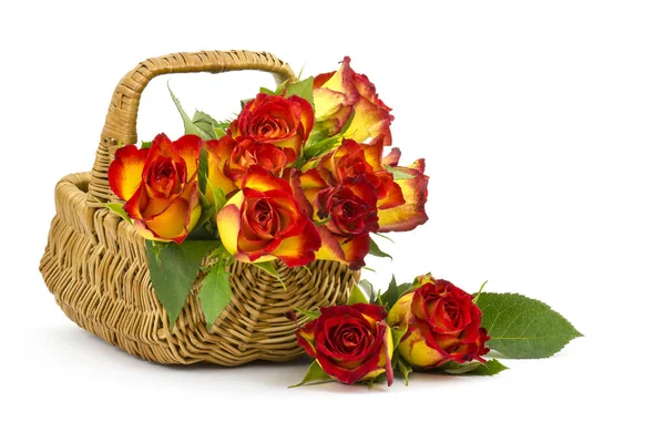 Rote Und Gelbe Rosen Einem Korb — Stockfoto