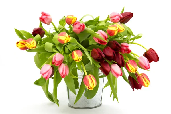 Bunte Tulpen Eimer — Stockfoto