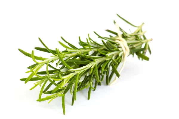 Fresh Rosemary Rosmarinus Officinalis — Stock Photo, Image