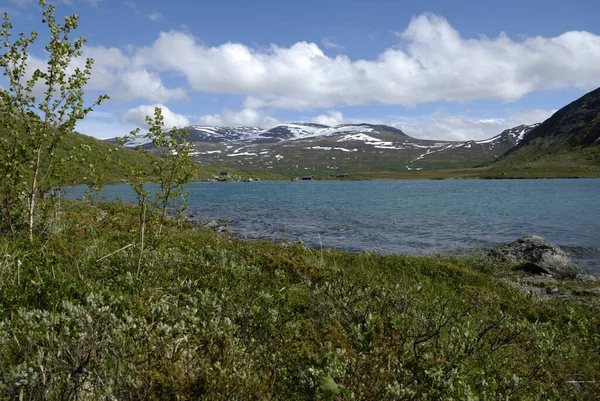 Jotunheimen Deki Gjendesee Gölü — Stok fotoğraf