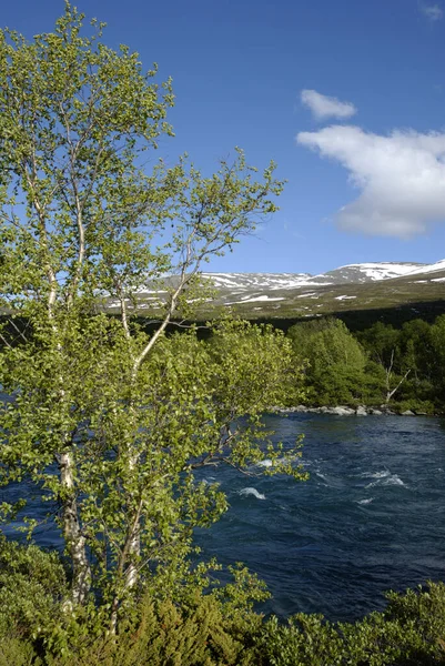 Norwegen Auf Naturlandschaft Hintergrund — Stockfoto