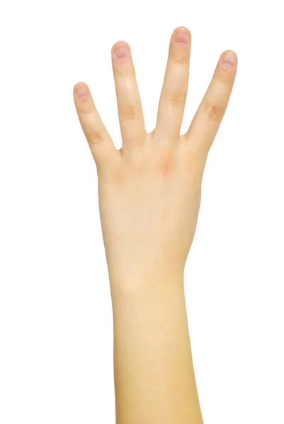 Hand Isoliert Auf Einem Weißen — Stockfoto