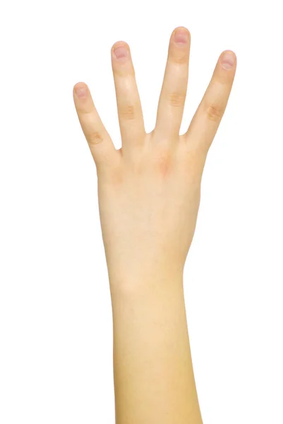 Hand Geïsoleerd Een Witte — Stockfoto