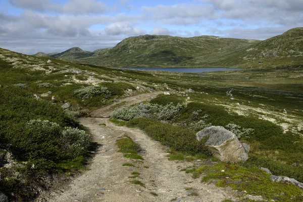 Norwegen Auf Naturlandschaft Hintergrund — Stockfoto