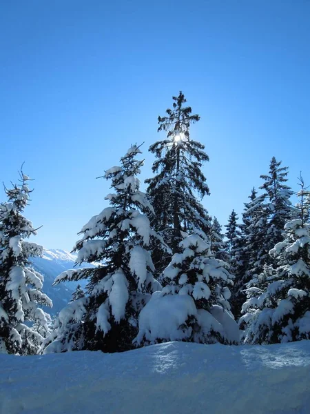 雪に覆われた冬の風景の絵のような景色 — ストック写真