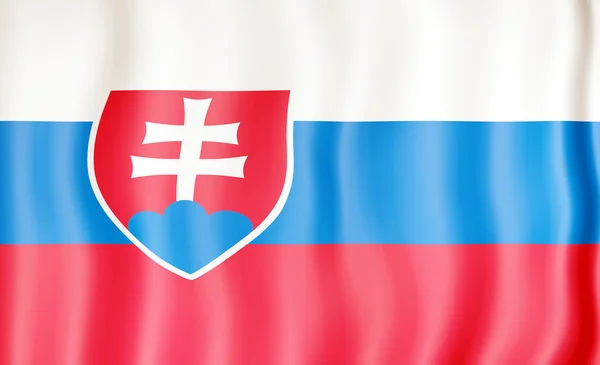 Flag Slovakia Drapeau National Pays — Photo