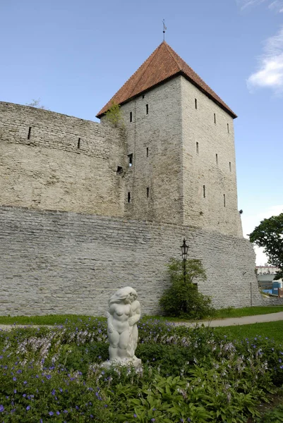Tour Dans Muraille Ville Tallinn — Photo