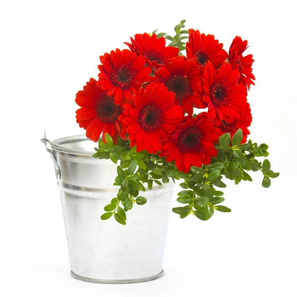Bouquet Gerbera Flowers Bucket — Stock Photo, Image