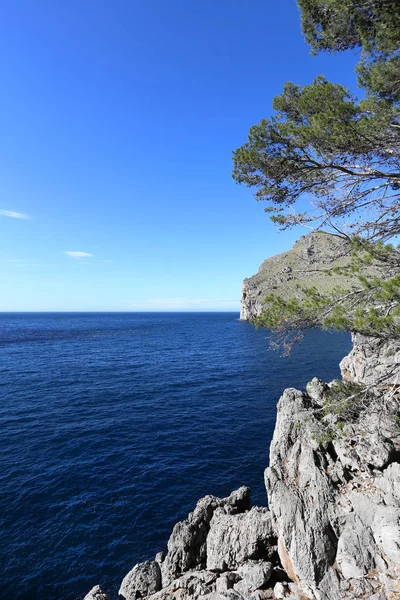 Mallorca Majorca Egyike Spanyolország Baleár Szigeteinek Földközi Tengeren — Stock Fotó